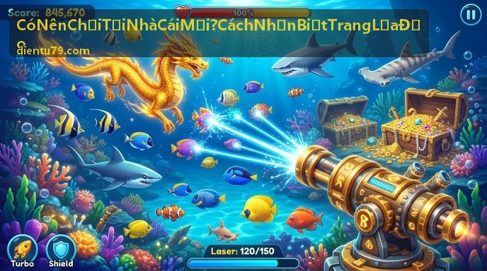 Có nên chơi tại nhà cái mới - Cách nhận biết trang lừa đảo qua giao diện và cảnh báo rủi ro